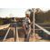 with-geodetic-optical-level-worker-is-on-the-cons-2025-03-18-20-21-44-utc -1-